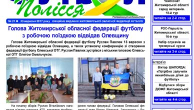 газета