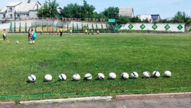 полысся